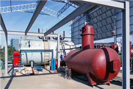 饮料厂15吨燃气蒸汽锅炉案例
